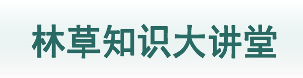 林草知识大讲堂